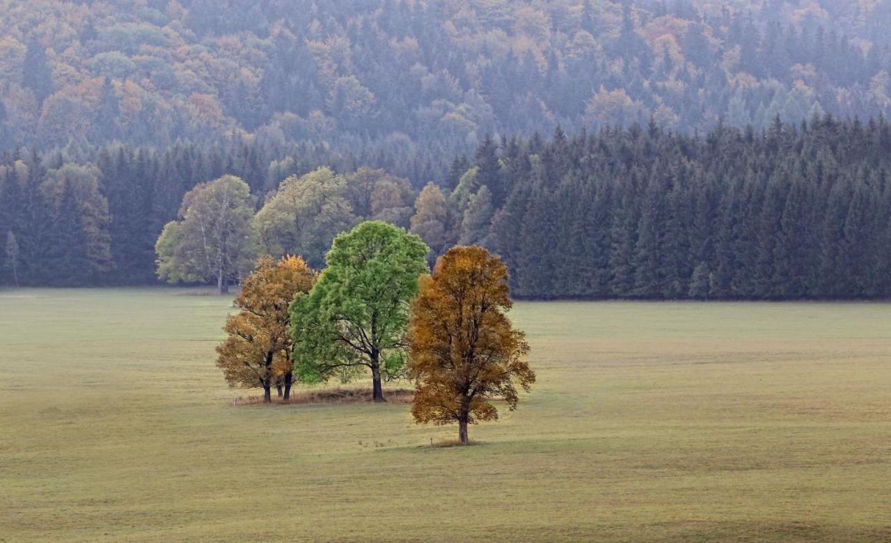 Przystanek Lasowka Bagian luar foto